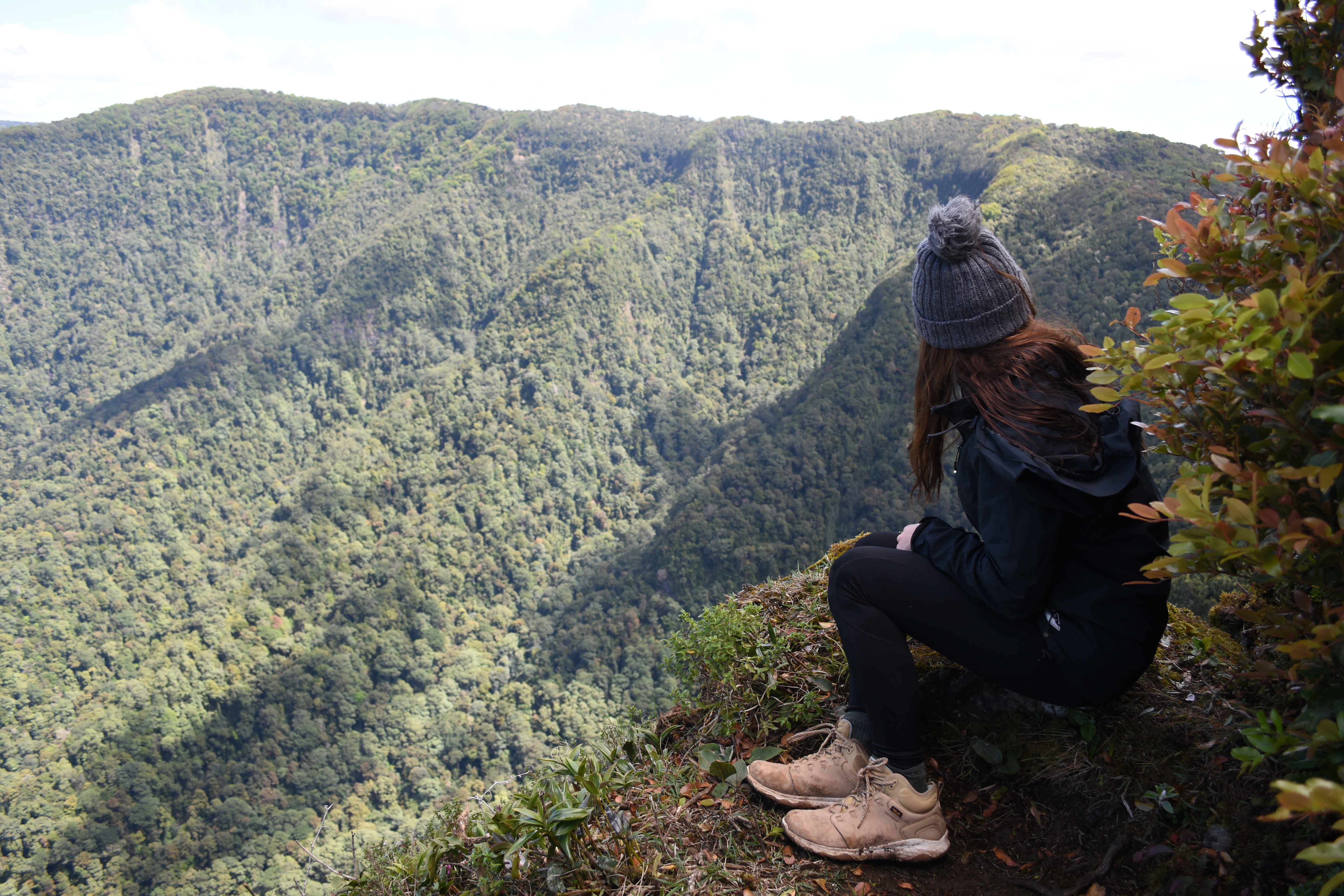 The Best Hikes In Lamington National Park – The Little Adventurer